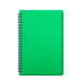  
Бизнес-тетради, блокноты: /Книжка записн. на пруж. "RAIN" А5, 80л.,кл., пластик.обл., зеленый